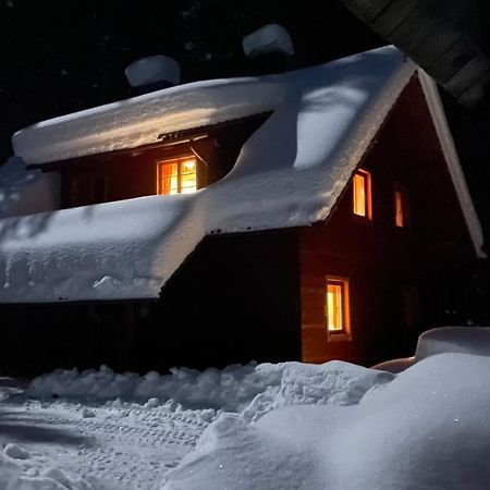 Digital Detox Chalet Pokljuka Goreljek Luaran gambar