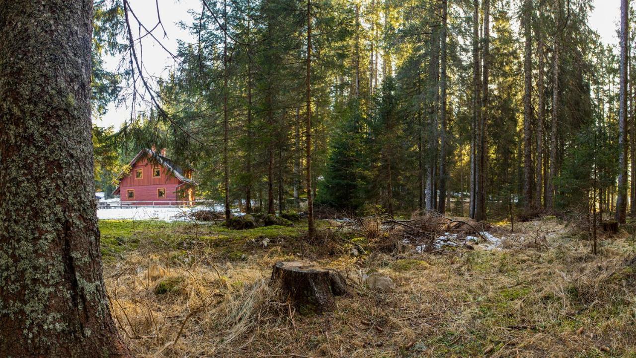 Digital Detox Chalet Pokljuka Goreljek Luaran gambar